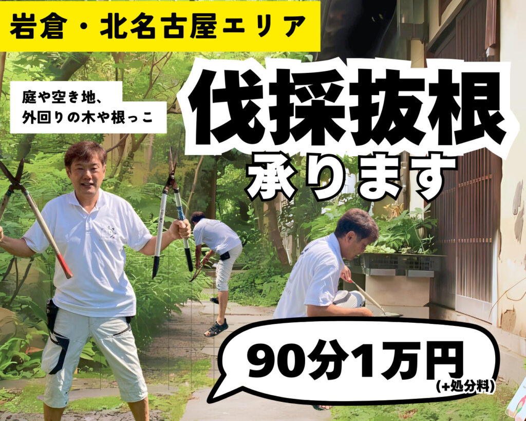 【岩倉・北名古屋エリア】伐採抜根サービス実施中！【90分1万円】